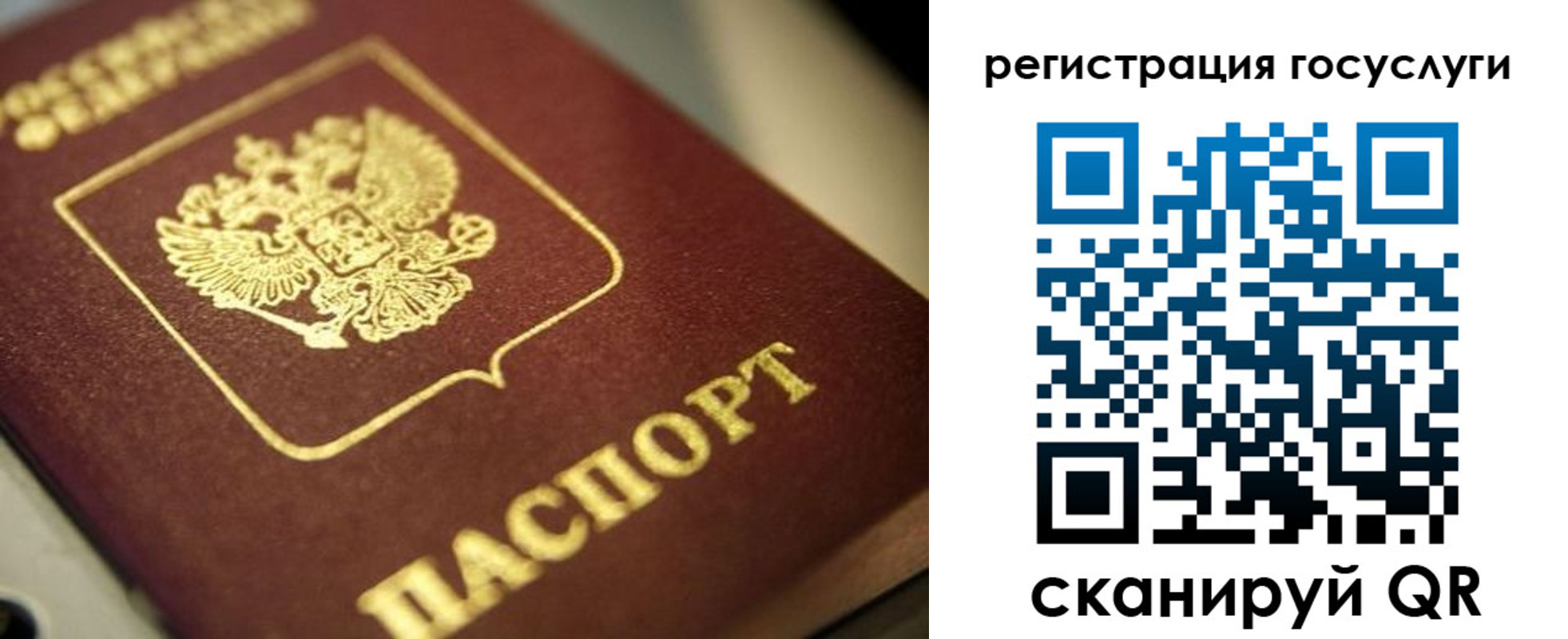 временная регистрация поиск в Свободном
